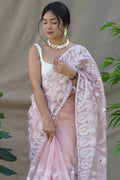 Light Brown Organza Saree