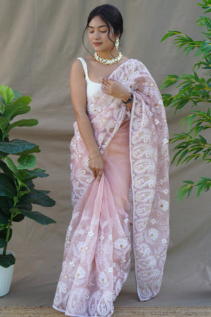 Light Brown Organza Saree