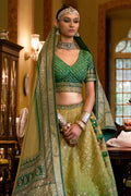 Ombre Green Silk Lehenga Choli