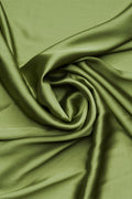 Green Satin Embroidered Broder Satin Saree