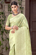 Pistachio Green Organza saree