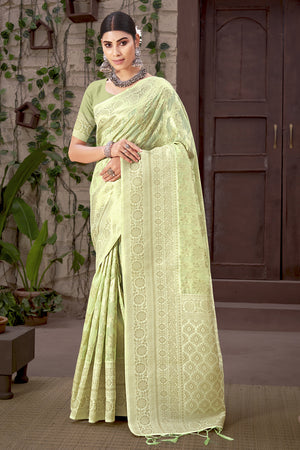 Pistachio Green Organza saree