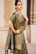 Silk Saree Drape