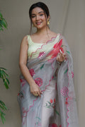 Coin Grey Organza Saree