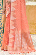 Salmon Peach Organza Saree