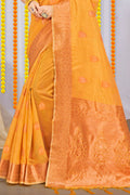 Organza Saree Design