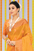 Apricot Yellow Organza Saree