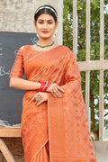 Cantaloupe Peach Organza Saree