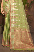 Organza Saree Design