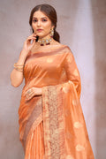 Burnt Orange Organza Saree