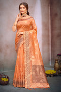 Burnt Orange Organza Saree