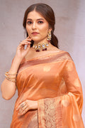 Burnt Orange Organza Saree