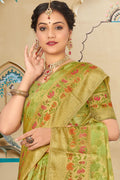 organza saree