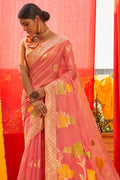 organza saree