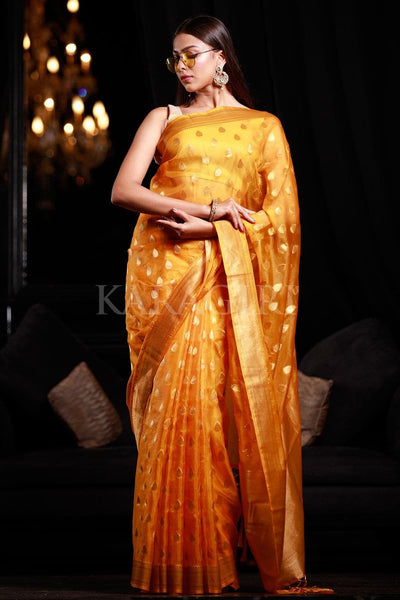 Geeta Basra in Raw Mango Saree | Fashionworldhub