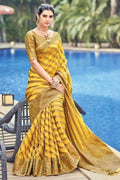 organza saree